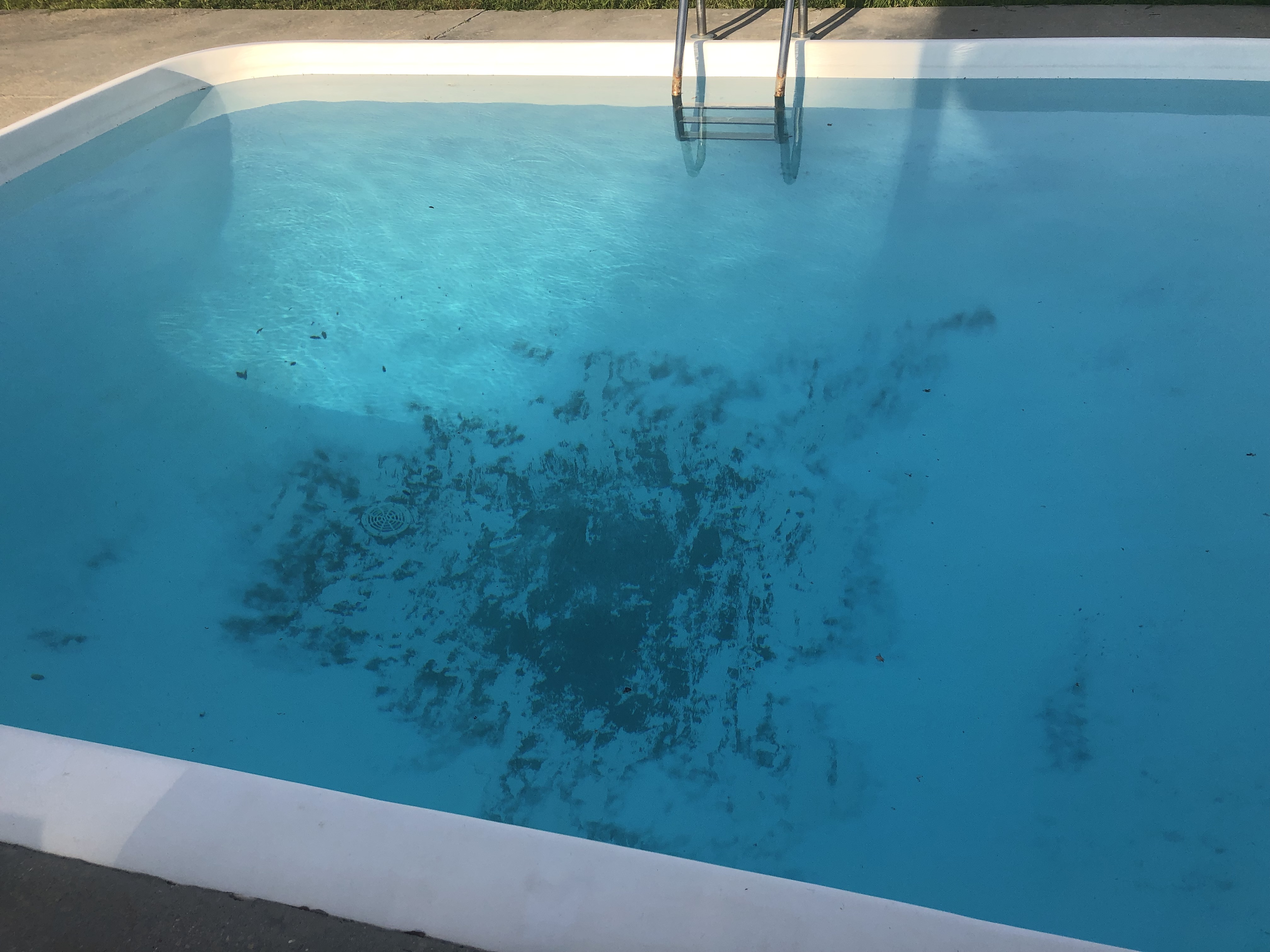 swimming before-after pics